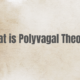 What is Polyvagal Theory?
