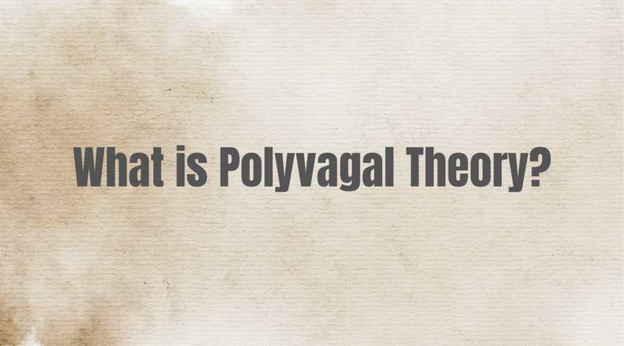 What is Polyvagal Theory?